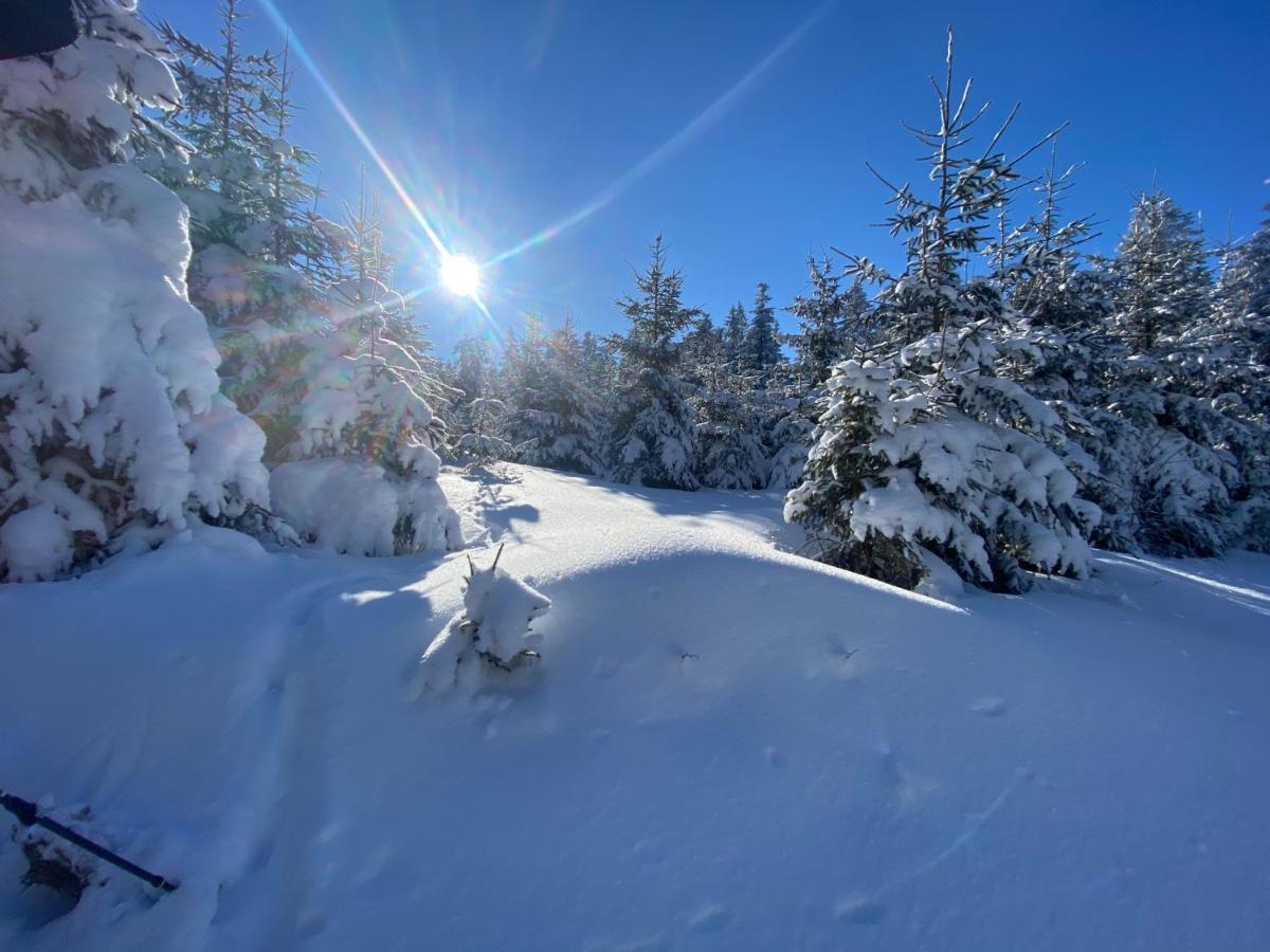 Top Fewo Mit Sommercard Winterberg Exterior photo
