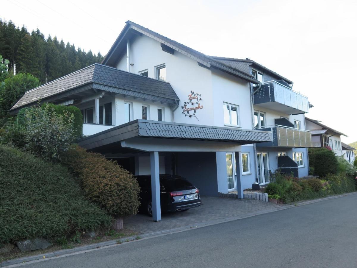 Top Fewo Mit Sommercard Winterberg Exterior photo